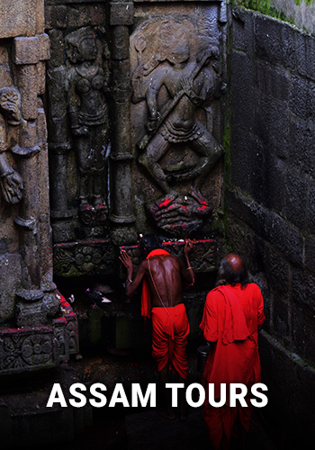 Assam Tours