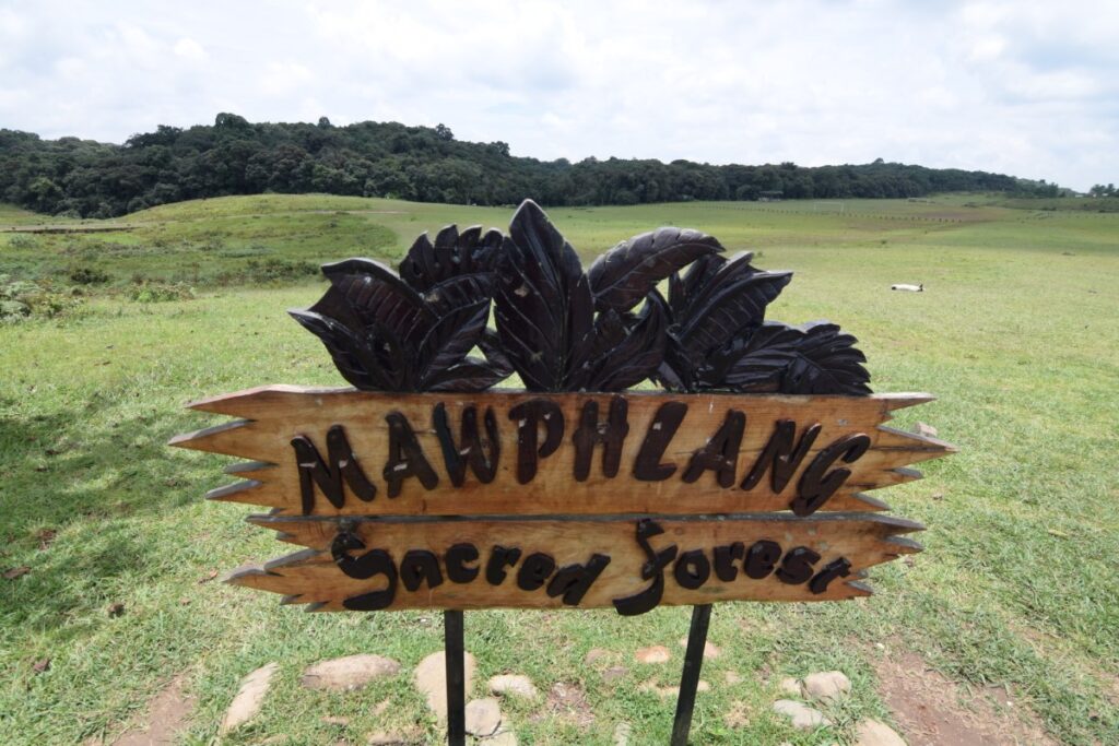 Mawphlang – A Sacred Forest or a Sacred Grove guarded by Secret Rules